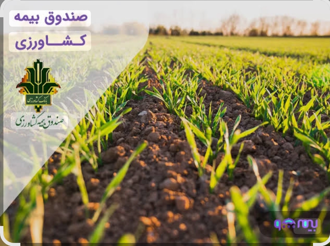 صندوق بیمه کشاورزی