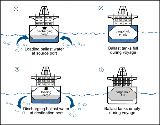 ballast_water_tanks
