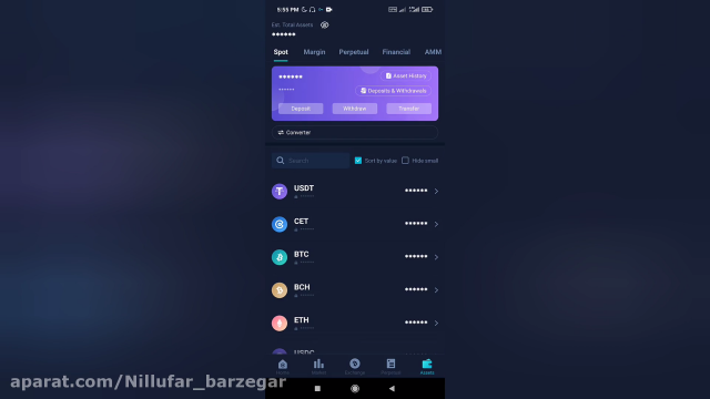 شبکه های ارزهای دیجیتال