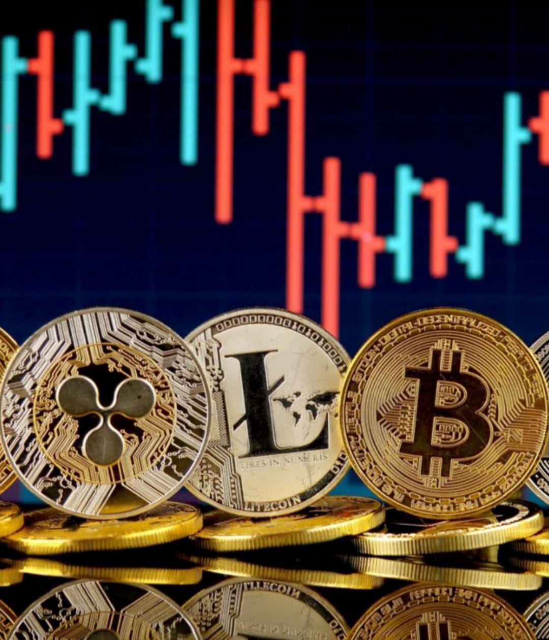 61e1aef3046b1 bp cover image