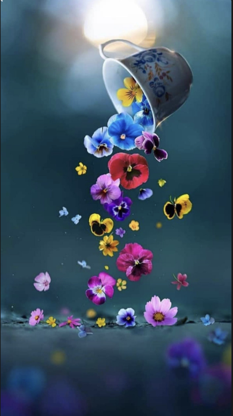 6005a7c19817f bp cover image