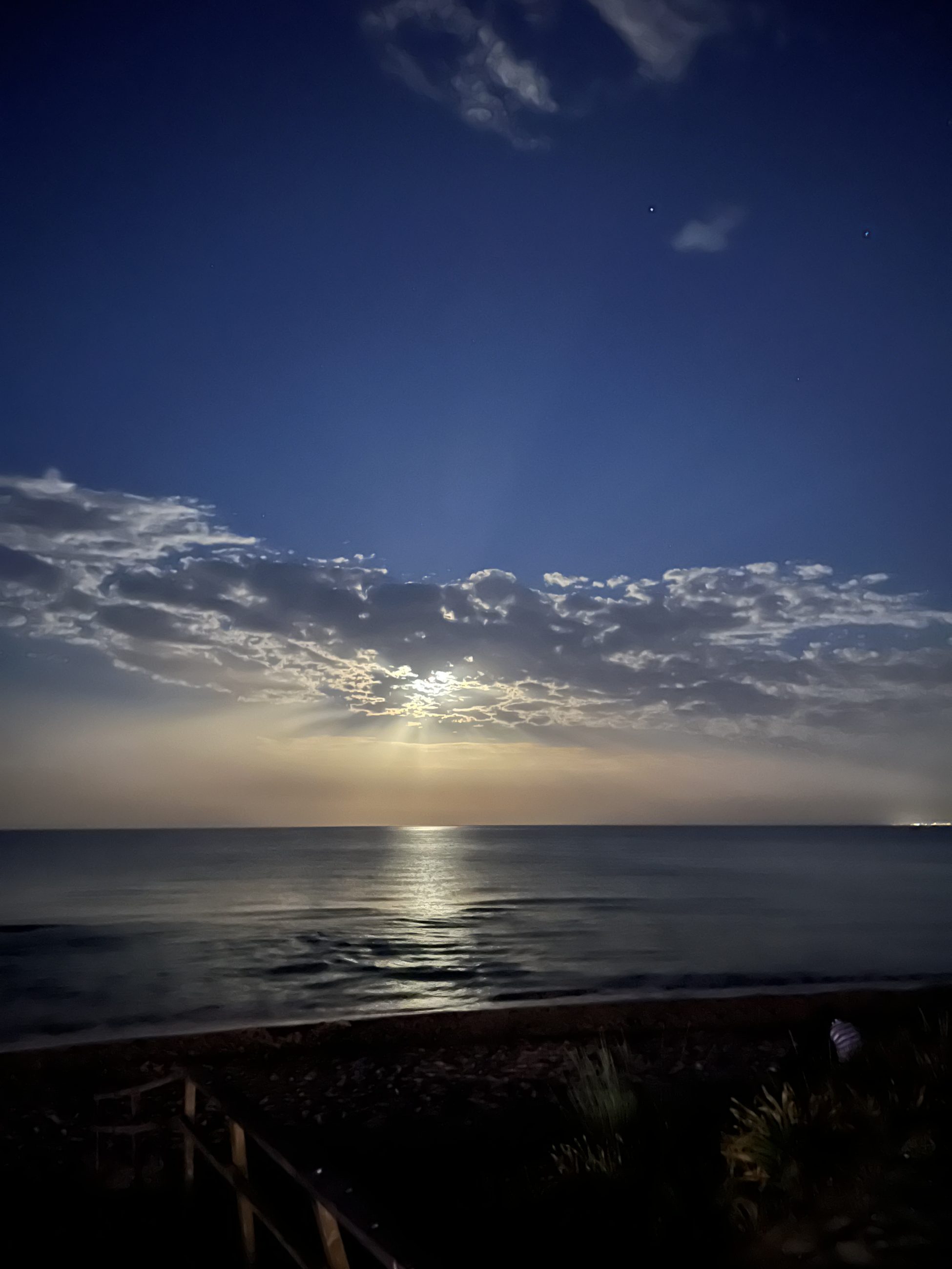 698c3787851b3 bp cover image