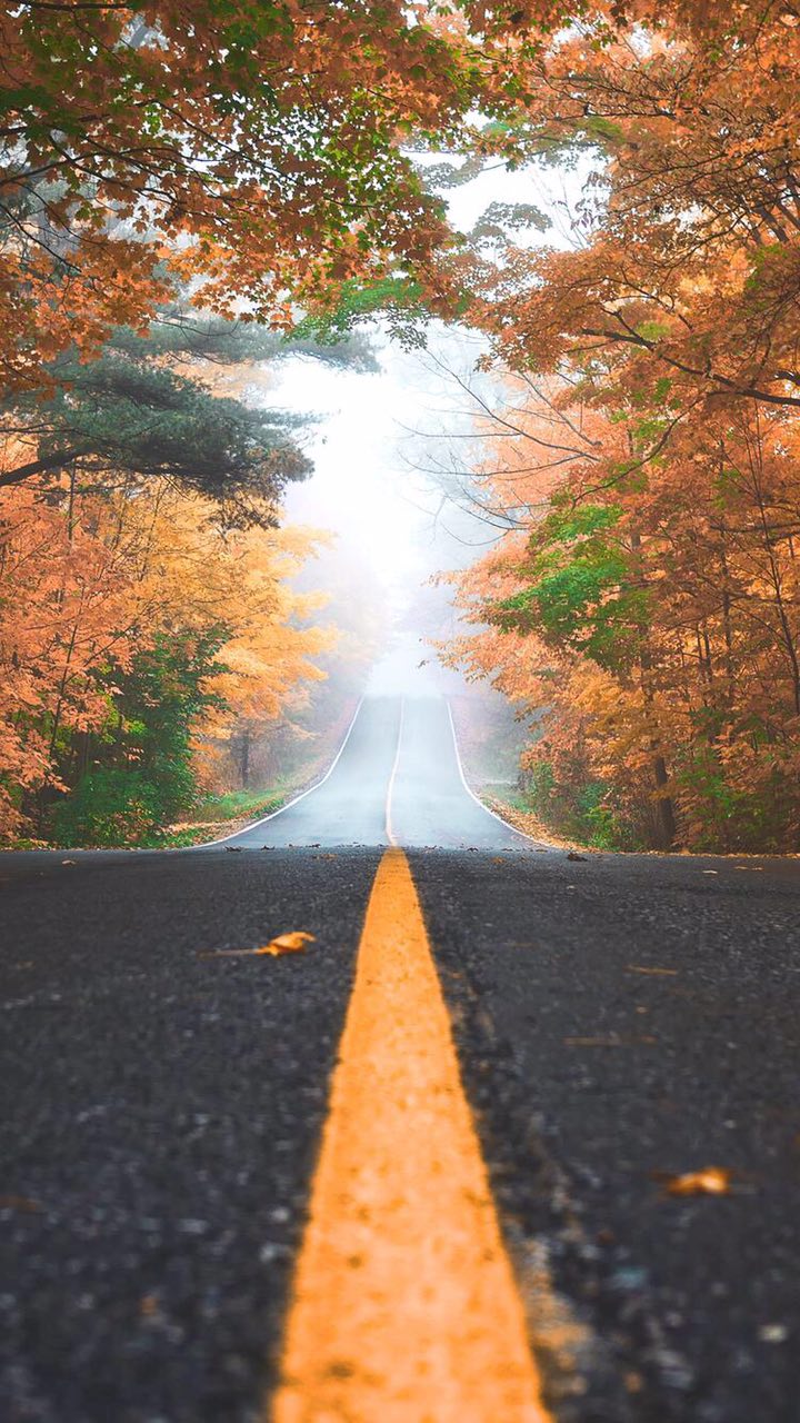 61813704c8ede bp cover image